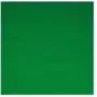 Walimex 16550 Stoffhintergrund, Grün, 2,85 x 6 m
