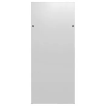 EFB Elektronik PRO-W420E.GR Seitenwand für PRO 42U Schränke, 1000 mm Tiefe, Lichtgrau (RAL7035)