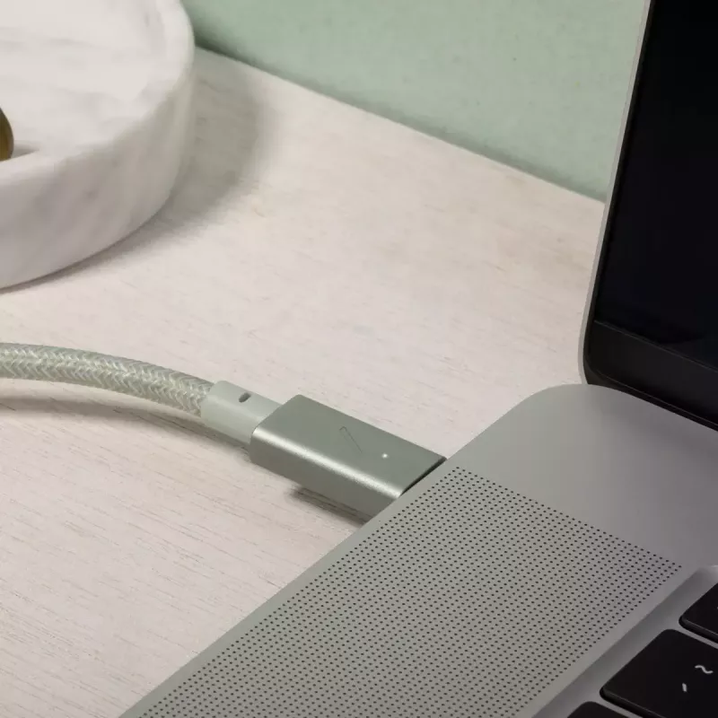 Native Union Belt Cable Pro USB-C auf USB-C, 2,4 m, LED-Anzeige, Rose