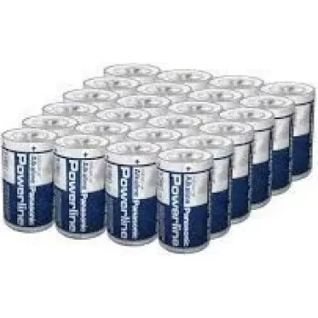 Panasonic Powerline D (Mono) Batterie, Karton mit 24