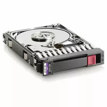 Hewlett Packard Enterprise Hot-Plug-Festplatte 300 GB 10K RPM 2,5