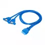 Akyga AK-CA-62 internes USB-3.0-Adapterkabel, 19-Pin-Header auf 2 x USB-A-Buchse, 0,65 m