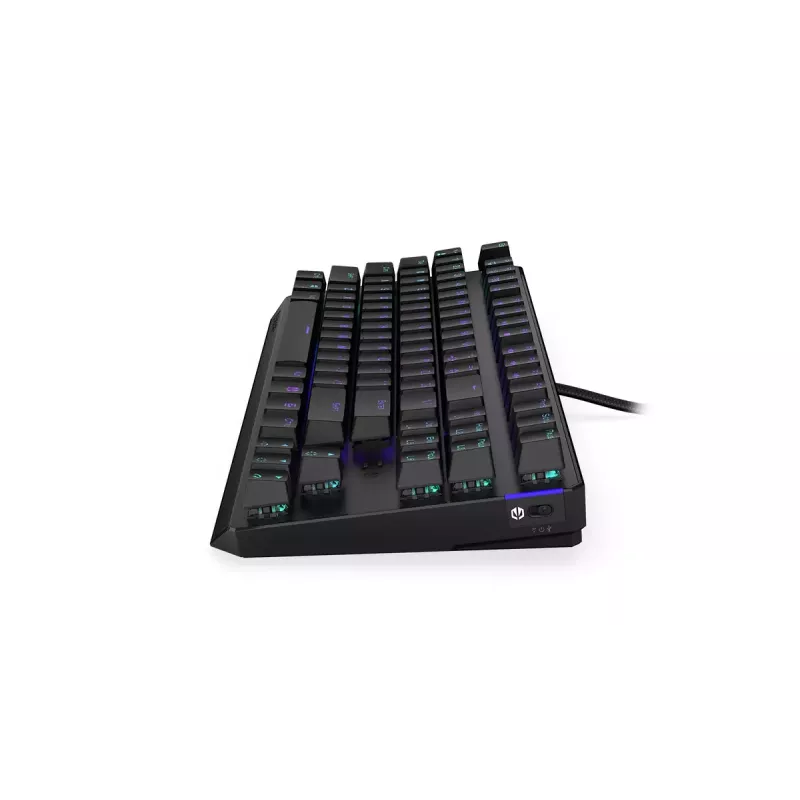 Tastatur ENDORFY Thock TKL Wireless Schwarz Mechanisch RGB LED 87 Tasten