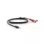 Audiokabel Kramer Electronics C-A35M/2RAM-6 1,8 m 3,5 mm 2xRCA Schwarz