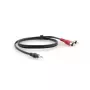 Audiokabel Kramer Electronics C-A35M/2RAM-35 10,7 m 3,5 mm 2xRCA Schwarz