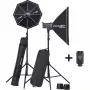 Elinchrom D-Lite RX 4/4 To Go Studioblitz-Set (EL-20839)