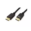 DisplayPort-Kabel ROLINE 11.45.5811-10 2 m Schwarz