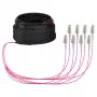 EFB Trunk Kabel U-DQ(ZN)BH OM4 8G (1x8) LC-LC 30m Dca LSZH