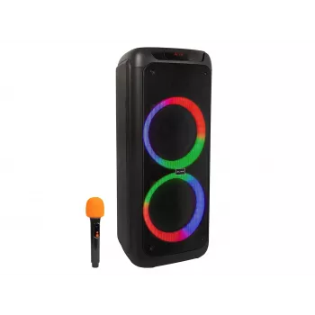 Karaoke-Lautsprecher Infinity 10 Zoll