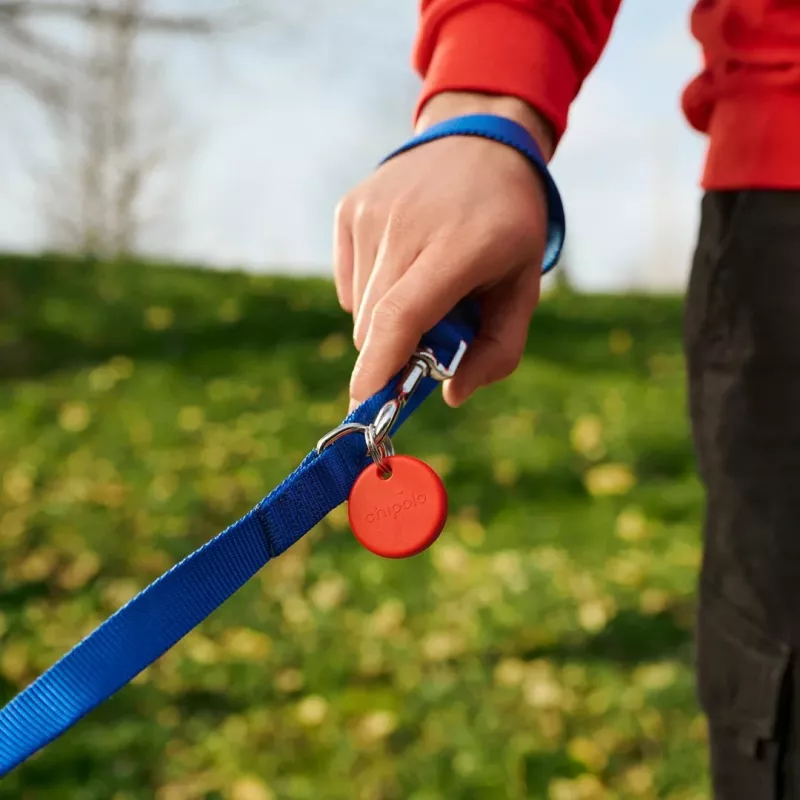 Tracker POP Chipolo Rot