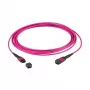EFB MTP(F)-MTP(F) Patchkabel OM4 12 Fasern Typ B LSZH Heather Violett 0,5 m