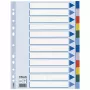 Esselte Blanko-Tab-Register, Polypropylen (PP), A4, mehrfarbig, 225 mm