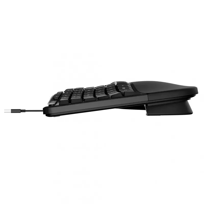 Incase Designed by Microsoft Ergonomische Tastatur Office USB QWERTY Schwarz