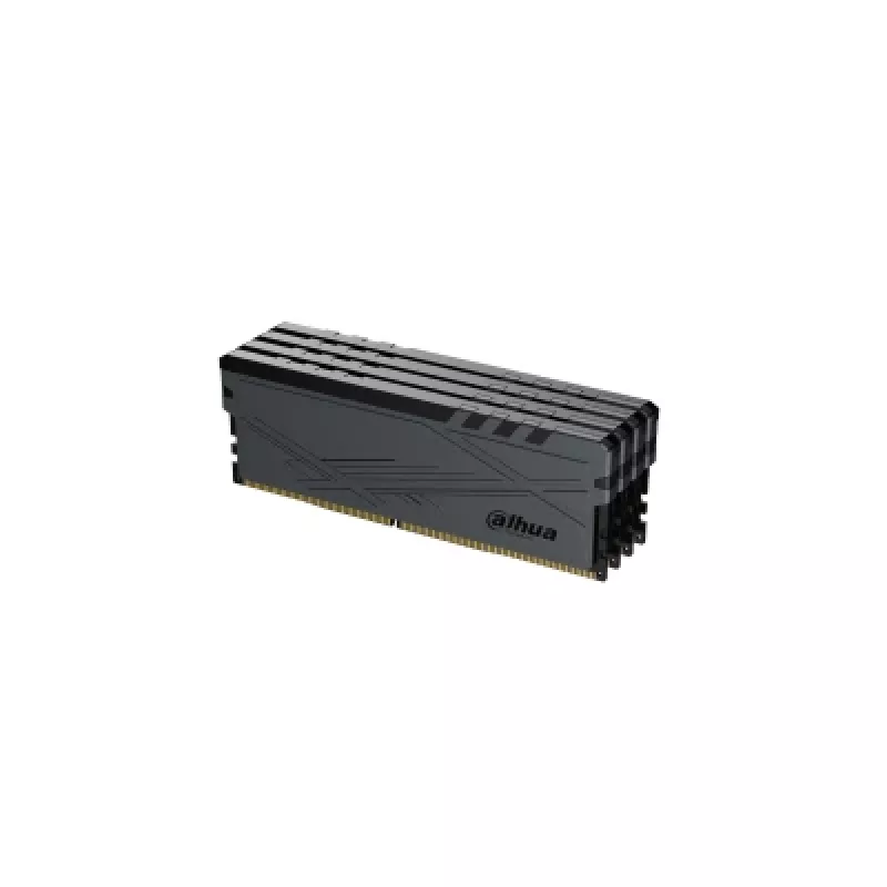 Dahua Technology DDR-C600UHD16G36 Speichermodul 16 GB 1 x 16 GB DDR4 288-Pin DIMM