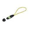 StarTech.com Single Mode MPO Loopback Plug - TAA Compliant - 12 Fasern OS2