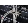 DIGITUS CAT 6A F-FTP Angled Patch Cable, Kupfer, 1 m, Grau, 10 Stück