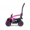 MILLY MALLY Kinderfahrrad mit Schiebestange Wild Pink 12 Zoll