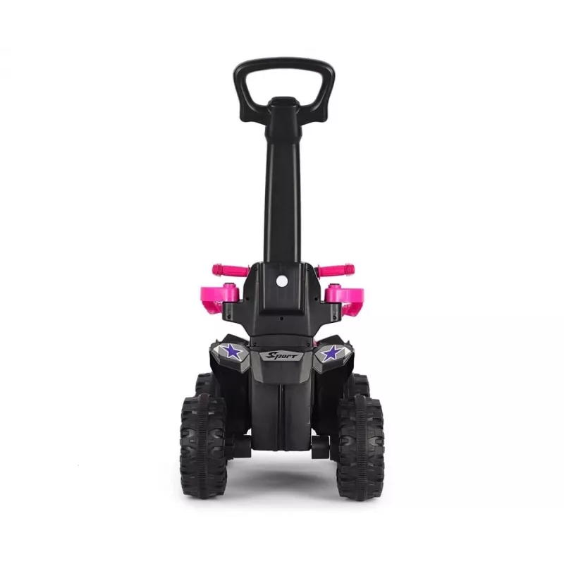 MILLY MALLY Kinderfahrrad mit Schiebestange Wild Pink 12 Zoll