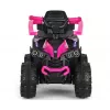 MILLY MALLY Kinderfahrrad mit Schiebestange Wild Pink 12 Zoll