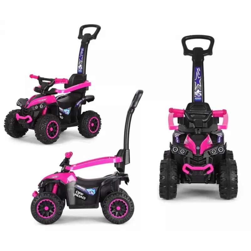 MILLY MALLY Kinderfahrrad mit Schiebestange Wild Pink 12 Zoll