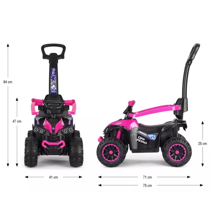 MILLY MALLY Kinderfahrrad mit Schiebestange Wild Pink 12 Zoll