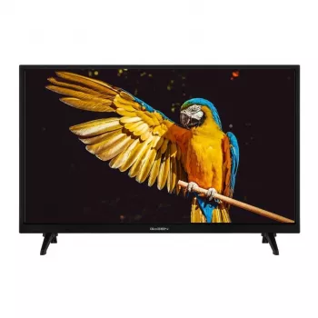GoGEN TVH24A336 24 Zoll HD Ready LED TV