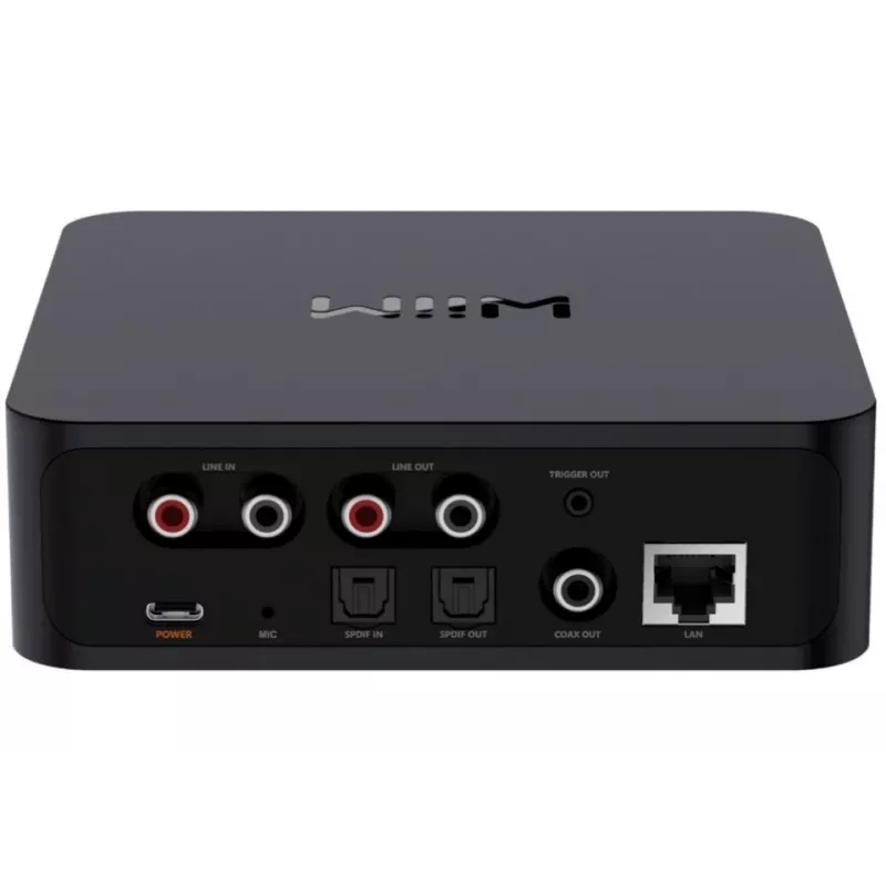 WiiM Pro Netzwerk-Player - AirPlay 2, Chromecast, Multiroom-Streamer