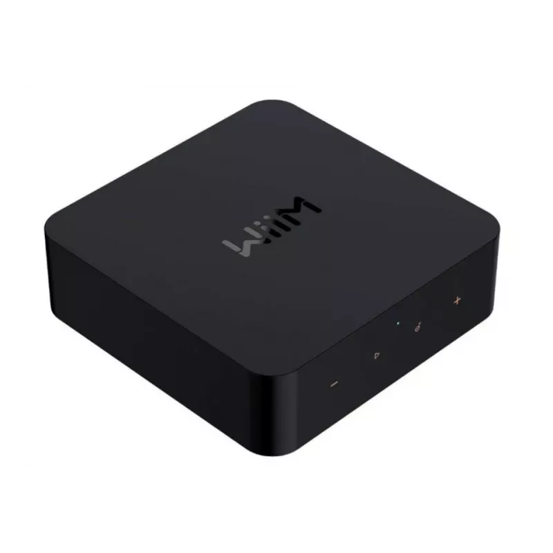 WiiM Pro Netzwerk-Player - AirPlay 2, Chromecast, Multiroom-Streamer