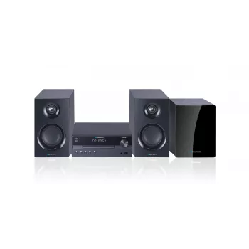 Blaupunkt MS55SUB Mikro-Receiver