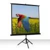 Celexon Economy 1:1 Tripod Screen 219 x 219