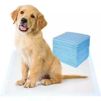 iLike Haustier Super-absorbierende Einweg-Trainingsunterlagen für Hunde & Katzen 20 Stk. auslaufsicher 60x90 cm