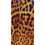 Evelatus Universal Leopard Colorful Film for Screen Cutter