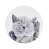iLike Universal Pop Holder Cat