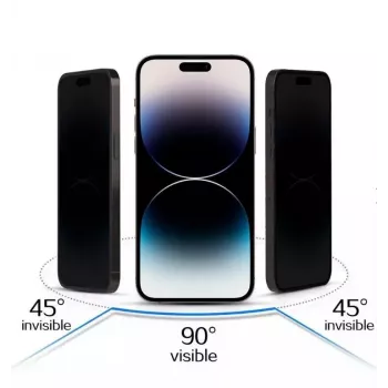 iLike Apple iPhone 17 Pro Max Panzerglas mit Privatsphäre-Filter, Schwarz