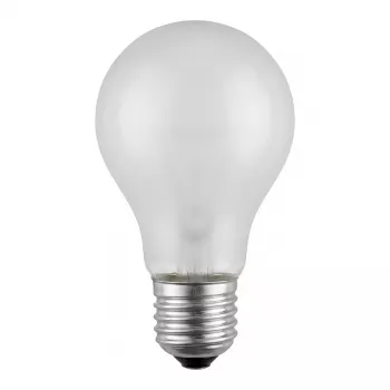 Scharnberger 40714 Allzwecklampe B 60x105mm E27 24V 60W matt