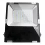 SYNERGY21 LED Flutlicht 50W RGB-WW RGB-CCT IP65 230V