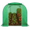 LEAN Folientunnel Garten Gemüsegewächshaus PRO Gestell 25MM 6x3x2M 18M²