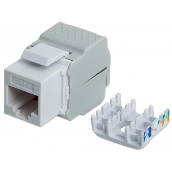Intellinet 167062 Cat6 UTP Keystone Jack, werkzeuglos, Weiß