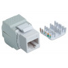 Intellinet 167062 Cat6 UTP Keystone Jack, werkzeuglos, Weiß