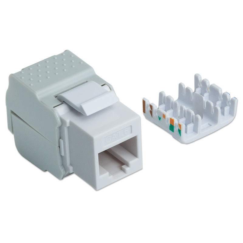 Intellinet 167062 Cat6 UTP Keystone Jack, werkzeuglos, Weiß