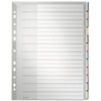 Leitz 1273 A4 Blanko-Register-Set, 10 Registerlaschen, Polypropylen, Grau 1273-00-00