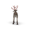 Schleich 75004 Rose Gold Weihnachtsrentier LED Figur