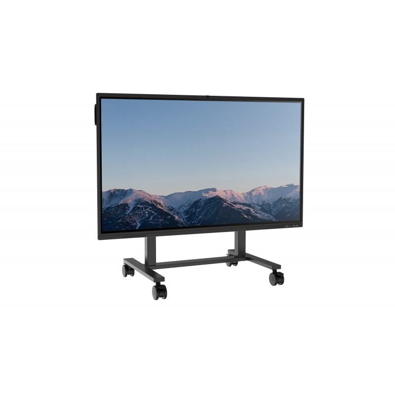 MAXHUB EST09 Mobiler Display-Ständer für 55 inch-86 inch Bildschirme, 120 kg Traglast, VESA bis 900x600, Schwarz