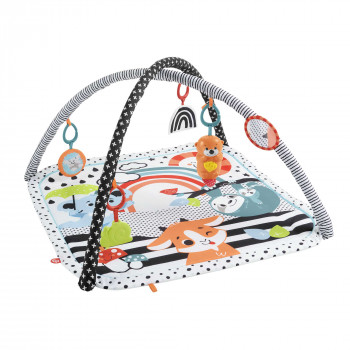 Mattel Baby-Aktivitätsgym mit Spielbogen, Lichtern & Musik, Spielmatte/Bogen (HBP41)