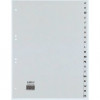 REXEL HETZEL A4 A-Z Register, 20-Tab, Polypropylen, Grau, 80-80-80 mm Lochung 25240481