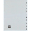 REXEL HETZEL A4 A-Z Register, 20-Tab, Polypropylen, Grau, 80-80-80 mm Lochung 25240481