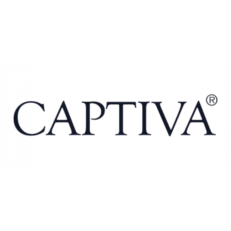 CAPTIVA Highend Gaming I98-001CH Ultra 9-275HX 16 inch 32GB/2TB RTX 5080 Win11 Pro