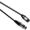 Audiokabel Procab XLR-Stecker auf XLR-Buchse 10 m (1KPBA139)