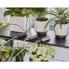 Gardena Urlaubsbewässerungs-Set mit Wasserbehälter, 13366-20
