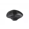 Natec Genesis Blackbird 2 Maus RF Wireless Optisch 1600 DPI